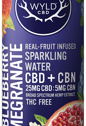 Wyld Blackberry Sparkling Water - Refreshing Natural Flavored Sparkling Beverage