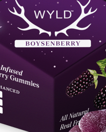 Wyld CBD Gummies Boysenberry - Natural Relaxation & Pain Relief Chews