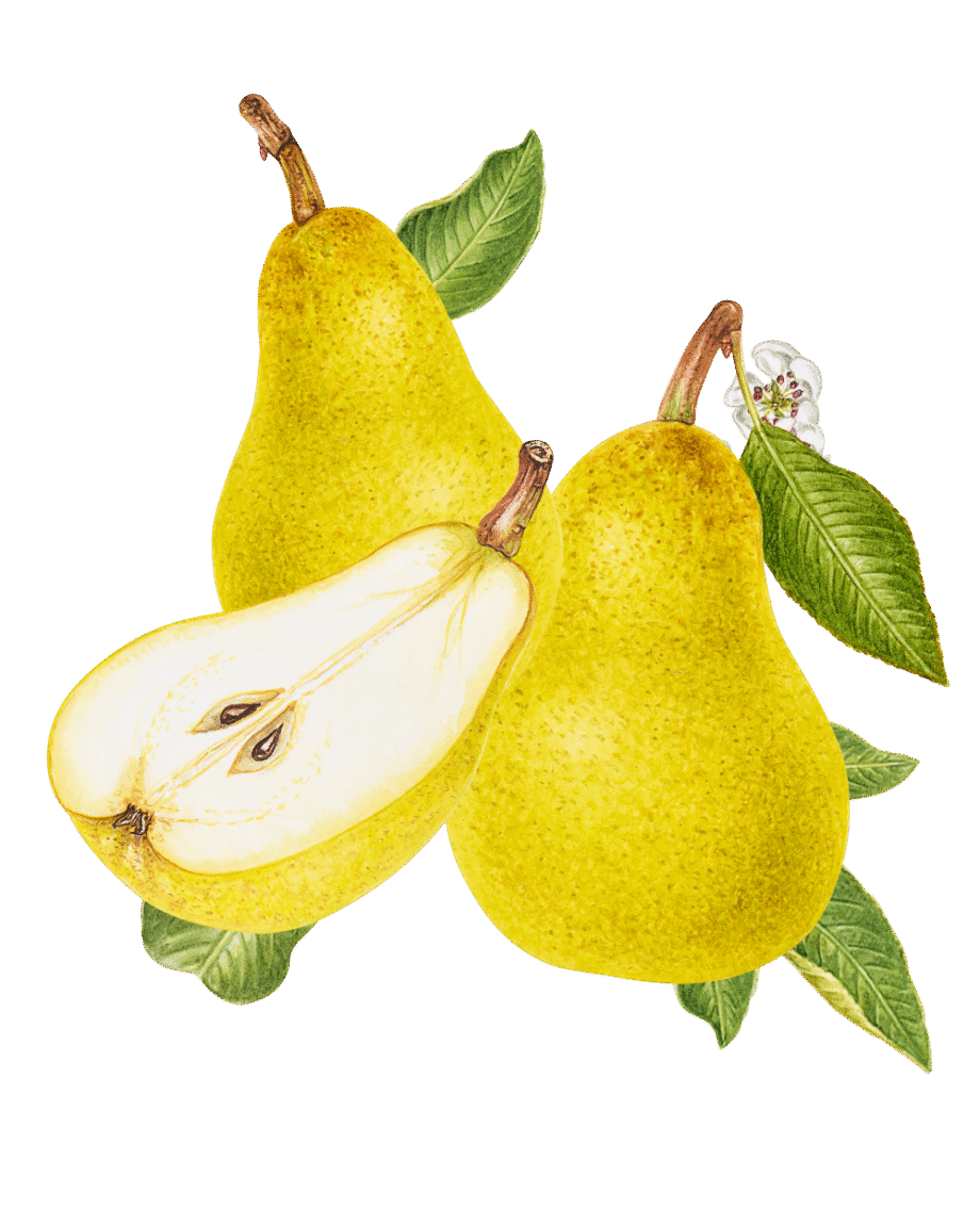 Wyld Pear CBG Gummies - Premium CBD & CBG Pear Flavored Gummies for Relaxation